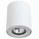 Люстра  A5633PL-1WH Arte Falcon