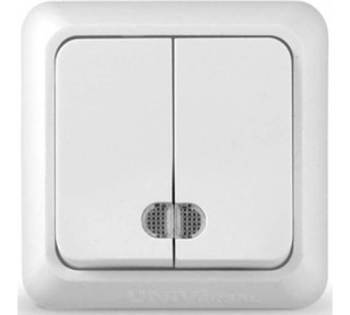 Выключатель 2-клавишный о/у с подсветкой 10А 220В белый О0123