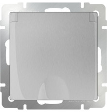 Выключатель 1-клавишный WL06-SW-1G/W1110006 (серебряный) 029820/051498