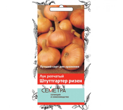 Семена Лук репчатый Семена Лук репчатый