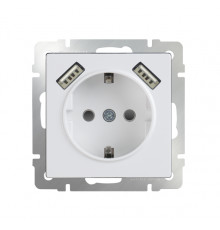 Розетка з/к и шторками и USBх2 WL01-SKGS-USBх2-IP20 (белая)  033473