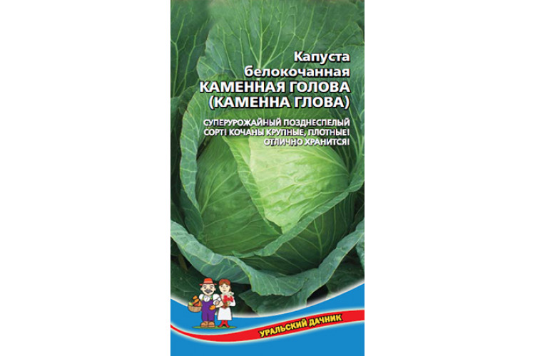 Каменная голова капуста описание фото Семена капуста-Б\к- "Каменная голова" ц/п Уральский Дачник купить в Калуге
